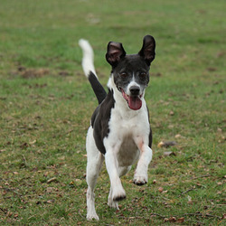 1 - Manchmal sieht Bobbi aus wie ... 1 - Manchmal sieht Bobbi aus wie ...