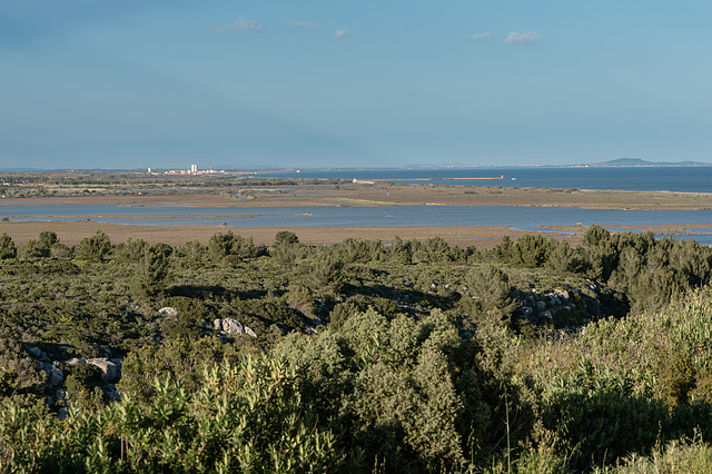 Plan de l'Oeil Doux, Etang de Pissevaches et Valras-Plage - 2015-04-20--D4 DSC0340