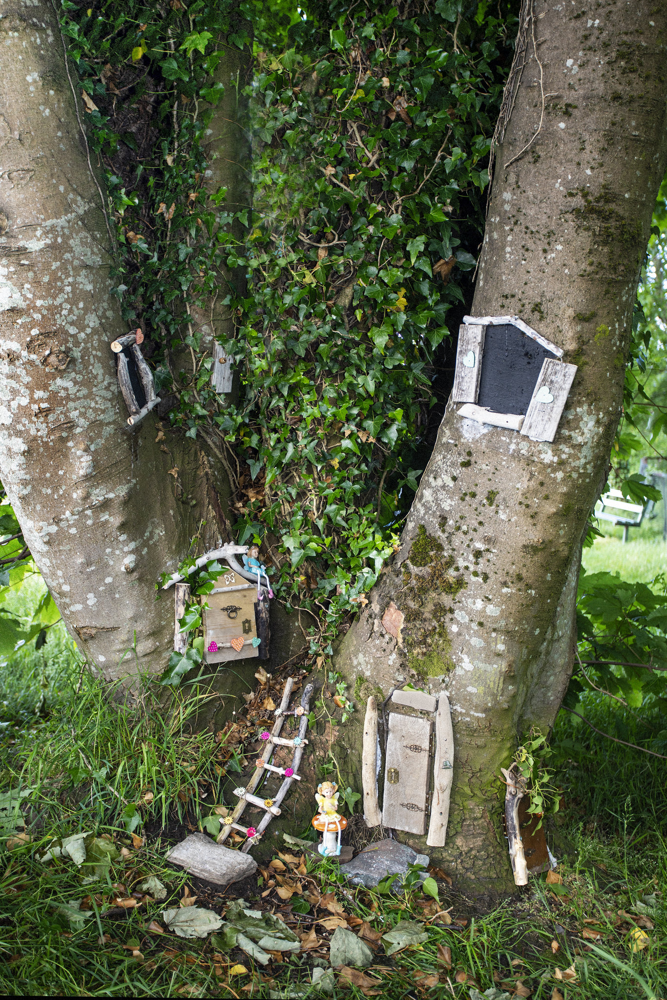 Wee-Fairy Tree, Foreshore, Dumbarton