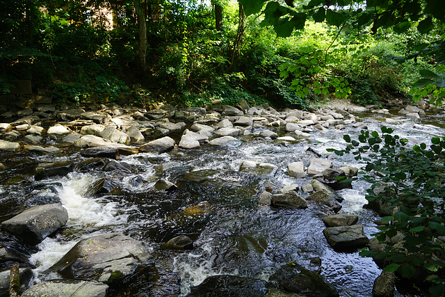 Die Sieber im Domeyer-Park