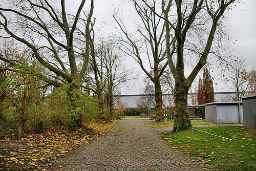 Ehem. Werkszufahrt zur Zeche Hugo Haniel (Oberhausen-Holten) / 20.11.2021