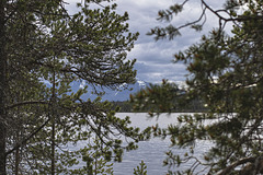 Am Femundsee, Norwegen