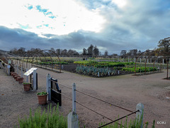 Gordon Castle Walled Garden, Fochabers.