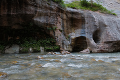 Zion Nat Park, The Narrows L1010751