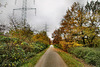 Radweg HOAG-Trasse (Oberhausen-Holten) / 20.11.2021