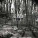 Playhouse