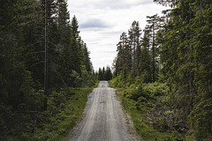 Unterwegs auf norwegischen Schotterstrassen