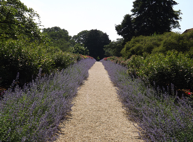 Garden Path at Planting Fields, May 2012