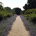 Garden Path at Planting Fields, May 2012