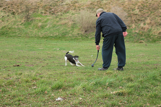 Herr und Hund, Fänger und Werfer, Spieler und Zuarbeiter