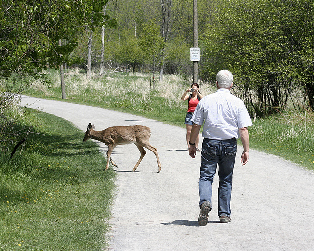 rencontre 1 / encounter 1