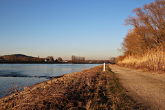Entlang des Rheins