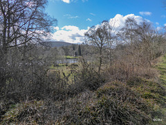 View over the Spey from the speyside WaY.