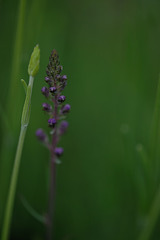 DSCF0874