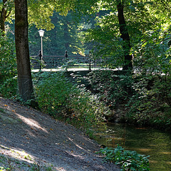 Gewässer im Park - Lichtung