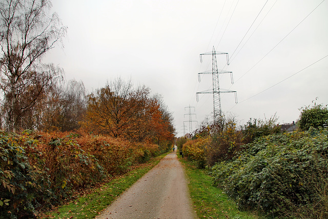 Radweg auf der ehem. HOAG-Werksbahn (Oberhausen-Holten) / 20.11.2021