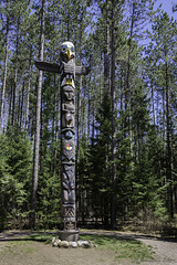 Algonquin Provincial Park - East Gate ... P.i.P. (© Buelipix)