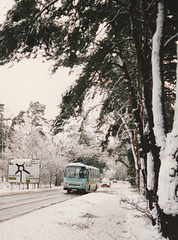 Steve MacKenzie, West Row BSS 438T near Fiveways, Barton Mills – 3 Mar 1995 (253-12A)