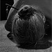 ..... chignon ...!