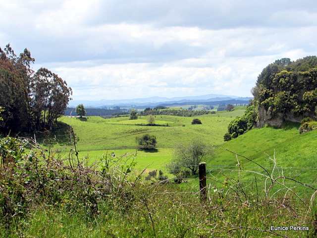 Across Farmlands.