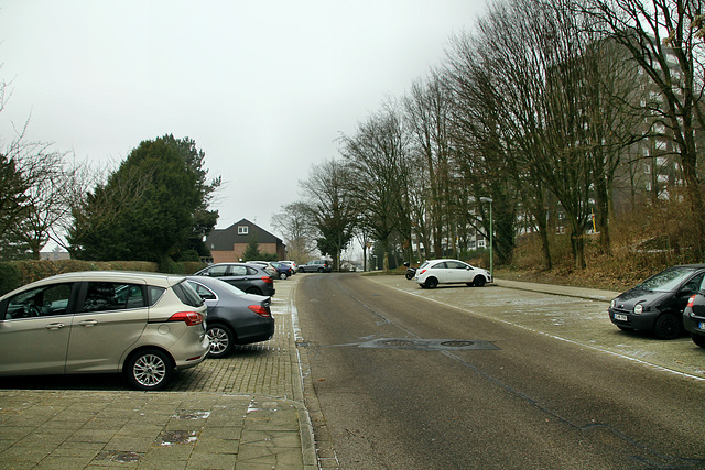 An der Zeche Heinrich (Essen-Überruhr) / 25.01.2019