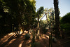 Jardins Majorelle