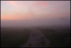 misty dawn at Port Meadow