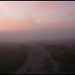 misty dawn at Port Meadow