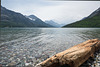 driftwood on a stony beach 3