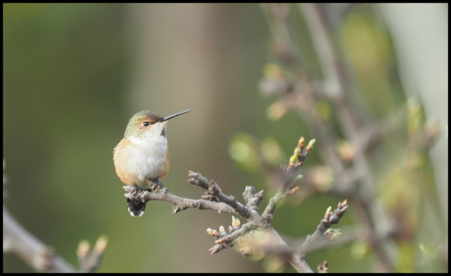 Taken through the kitchen window.