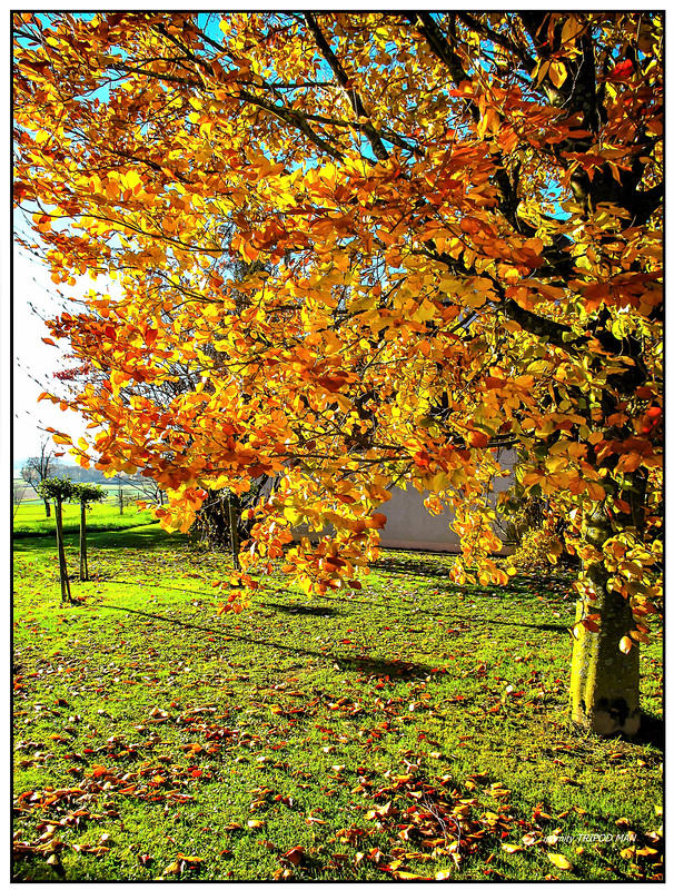 Herbst 22