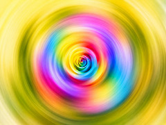 Rose in Superposition