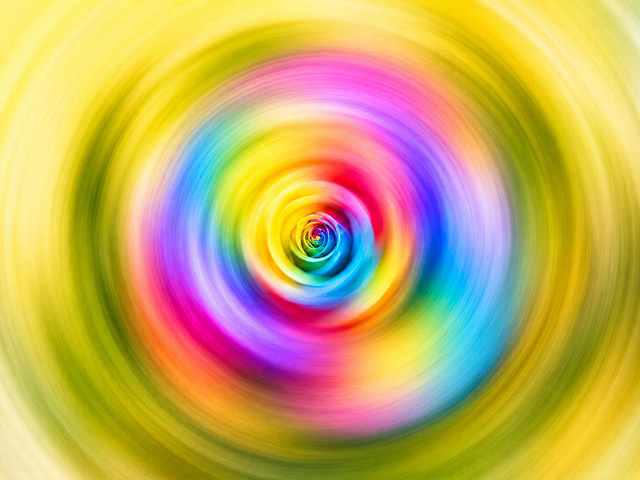 Rose in Superposition Rose in Superposition