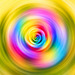 Rose in Superposition
