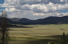 Valles Caldera National Preserve (# 0937)