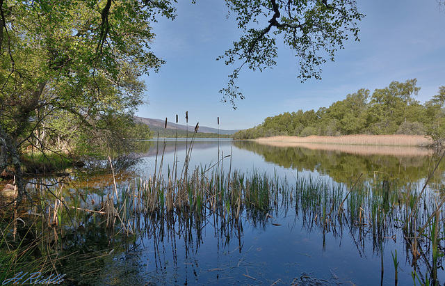 Loch Kinord