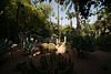 Jardins Majorelle