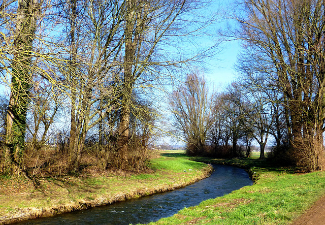 DE - Weilerswist - Winterspaziergang