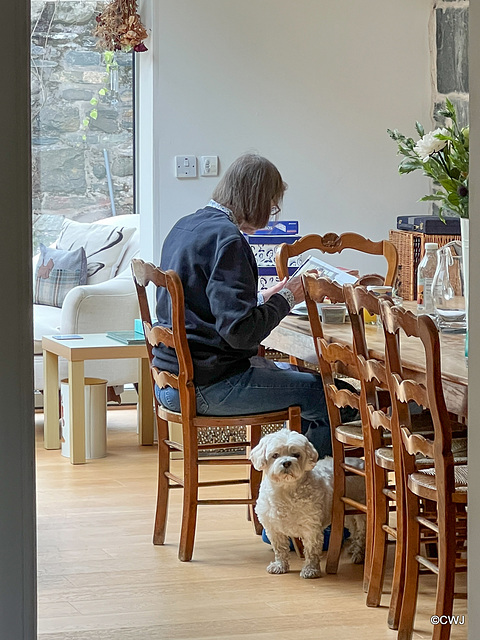 Breakfast Companion