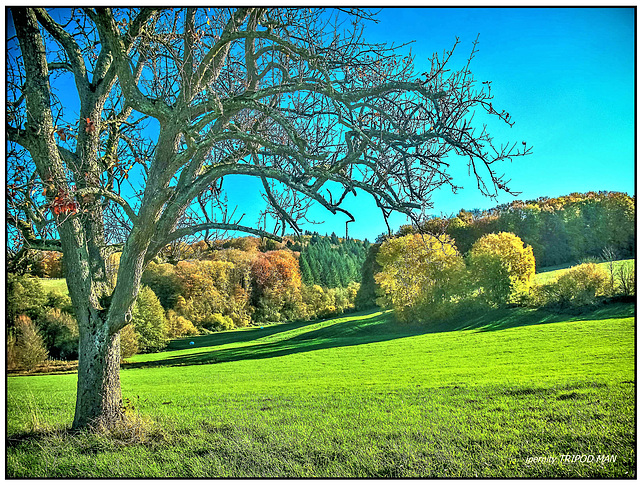 Markgräflerland