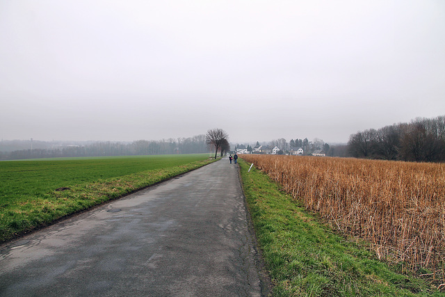 Dürener Straße (Witten) / 11.02.2023