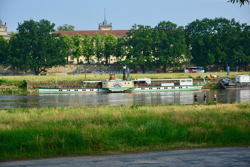 Dresden 2019 – Steamer Krippen