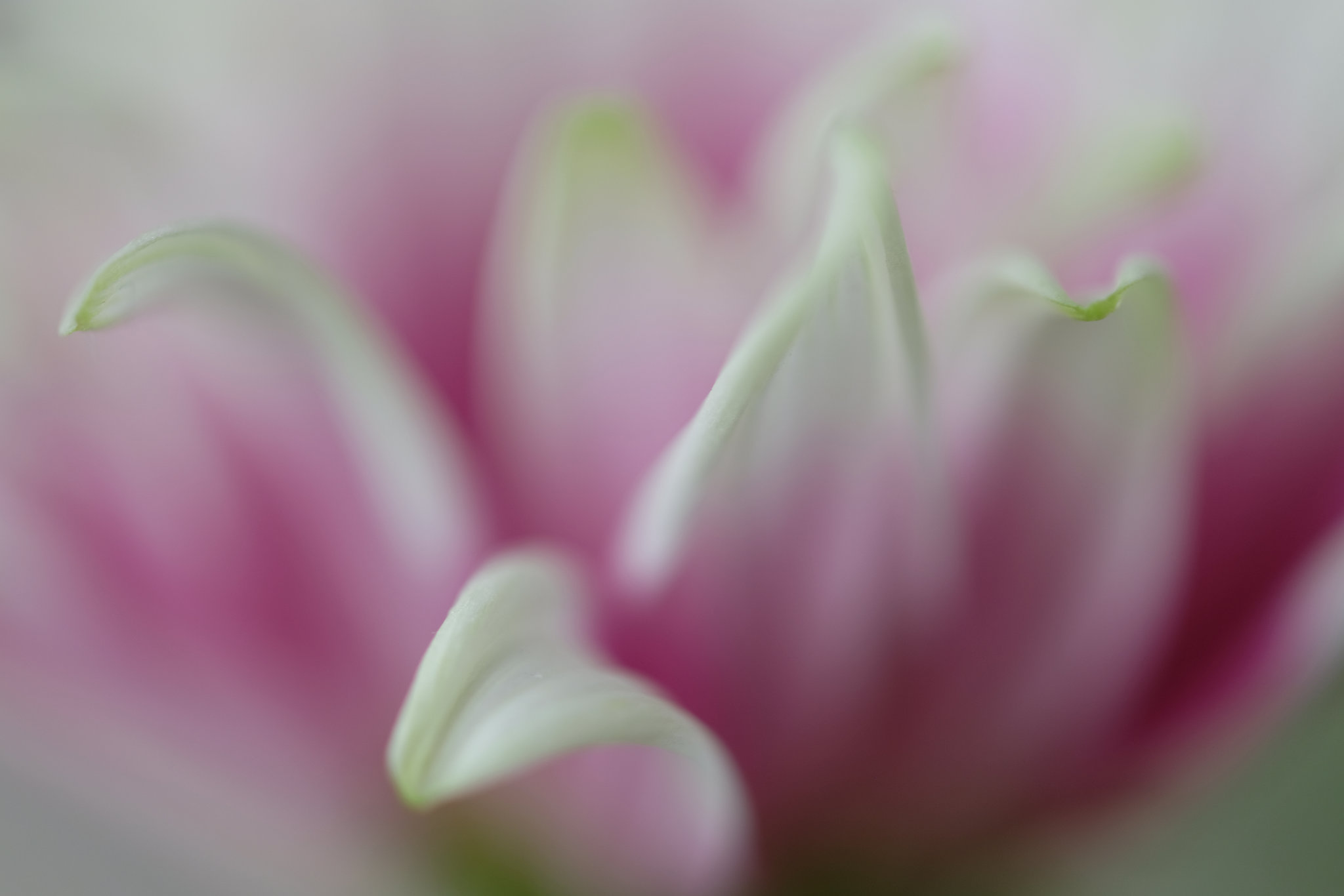 DSCF5773