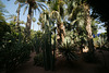 Jardins Majorelle