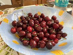 Premieres cerises Un cadeau