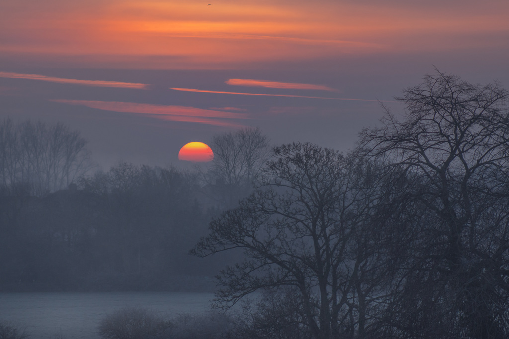 Rising through the mist