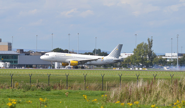 Vueling KJD