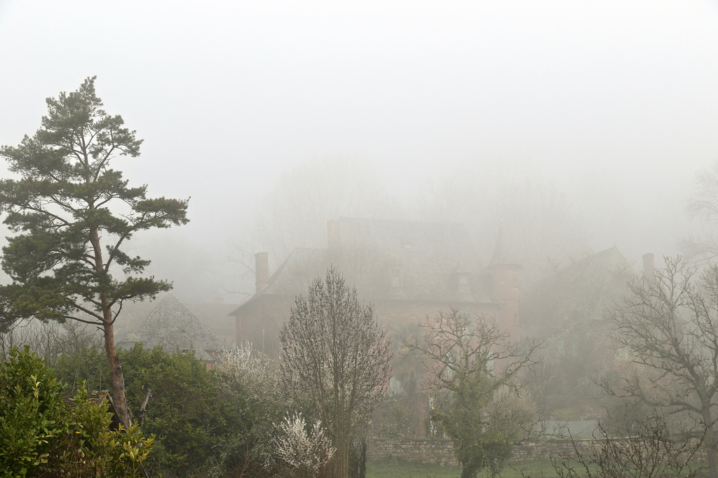 1T0A7419  Début de journée brumeuse à Collonges