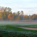 Herbstfärbung und Bodennebel am Golfplatz Kurpfalz