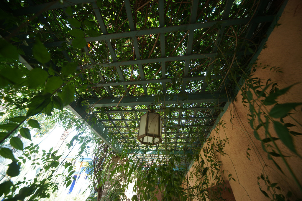 Jardins Majorelle